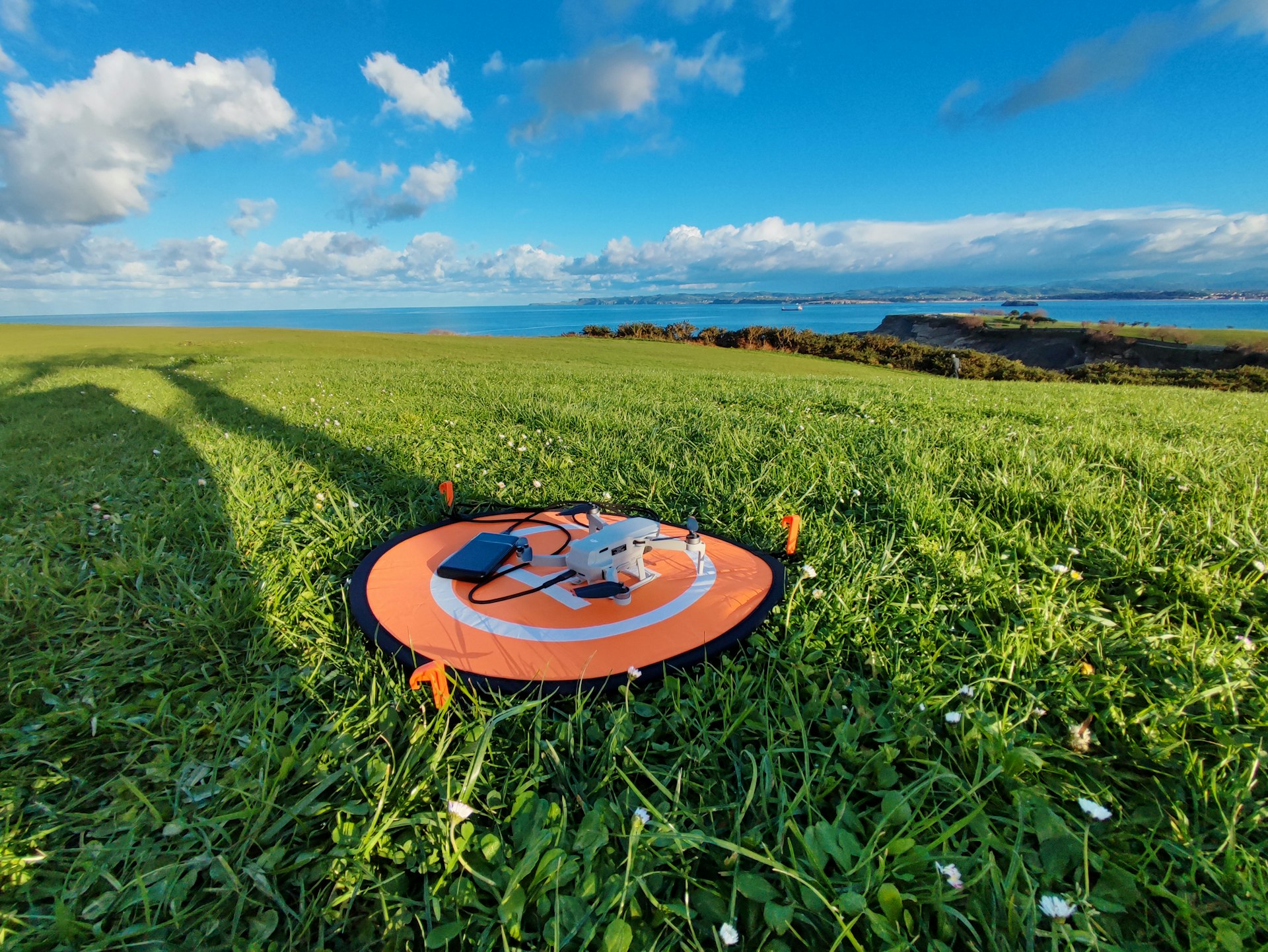 an orange frisbee sitting in the middle of a lush green field